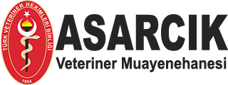 Asarcık Veteriner Muayenehanesi